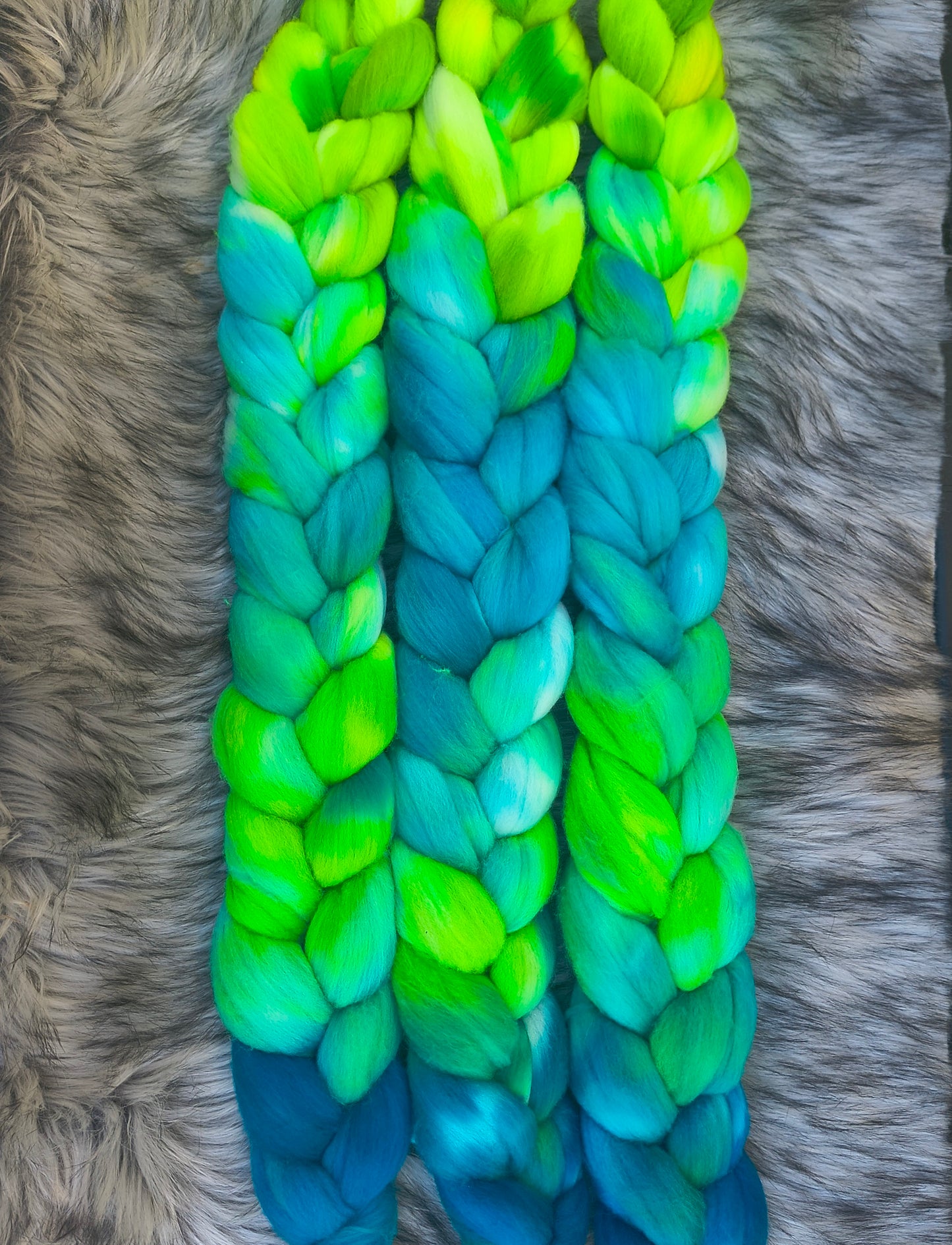 Rainforest Kelpie Handdyed Top