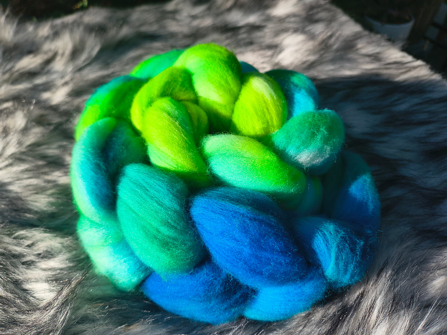 Rainforest Kelpie Handdyed Top